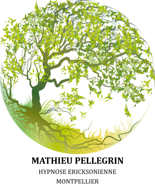 Monsieur pellegrin mathieu