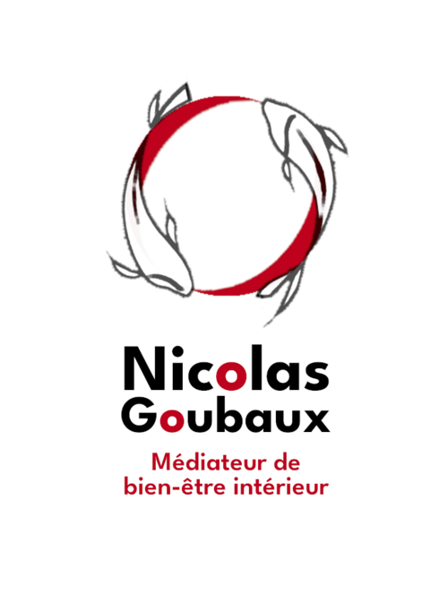 Monsieur GOUBAUX NICOLAS